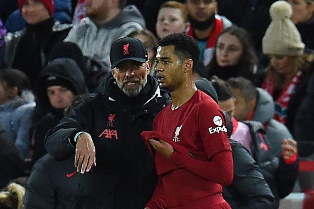 1673143139921064370.jpg 1454894751-2048x2048.jpg